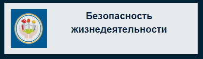 Безопасность жизнедеятельности